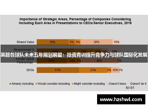 英超各球队未来五年规划展望：投资青训提升竞争力与球队国际化发展